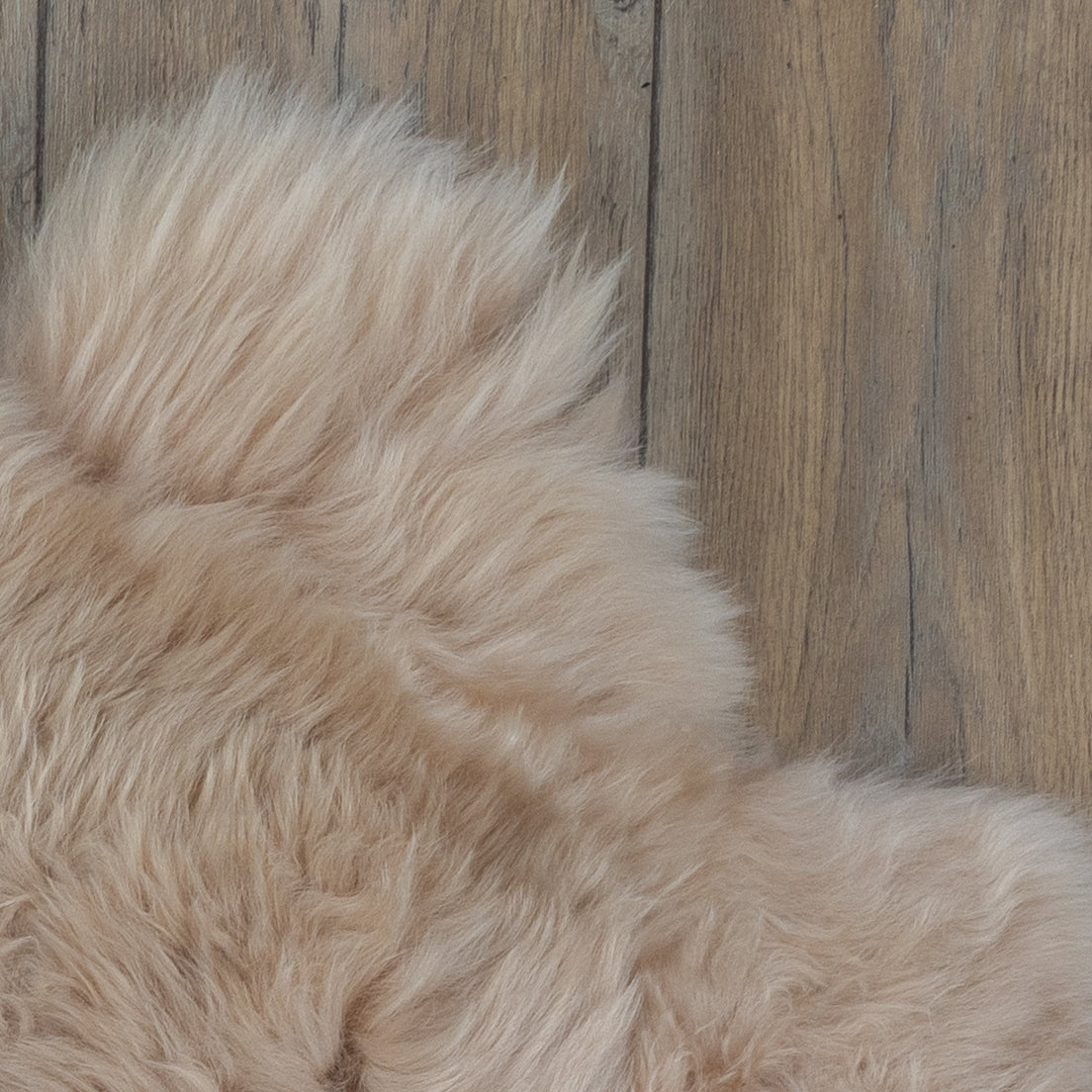 Beige sheepskin rug