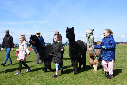 Countryside Lincs - 14th April 2024